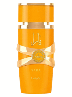 magnifics_upscale-J6jAs9TBOtoe8kP4GmYr-tous-convertido-de-avif Yara Tous Lattafa