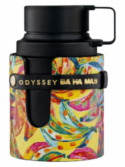 magnifics_upscale-sefsQywtWM5ejjLFDMqW-bahamas-convertido-de-avif Odyssey BA HA MAS